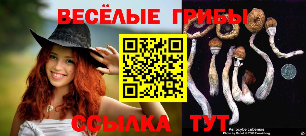 Кизилюрт  Галлюциногенные грибы ЛСД  Вход с VPN 