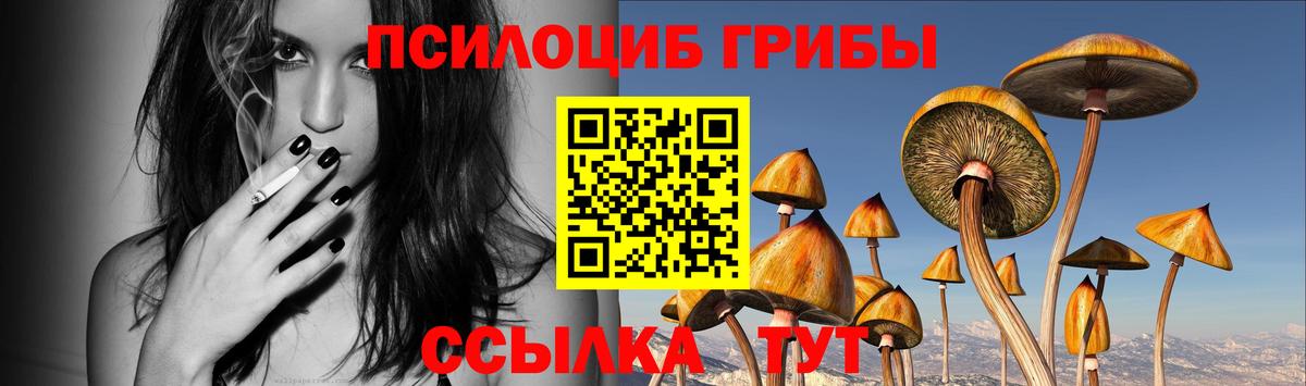 Псилоцибиновые грибы Cubensis Кизилюрт